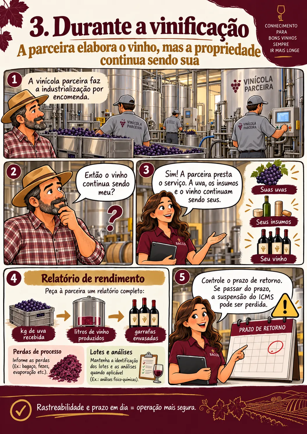 Quadro 3: a parceira elabora o vinho enquanto a propriedade continua do viticultor; relatório de rendimento com quilos de uva, litros e garrafas; e o alerta sobre o prazo de retorno.